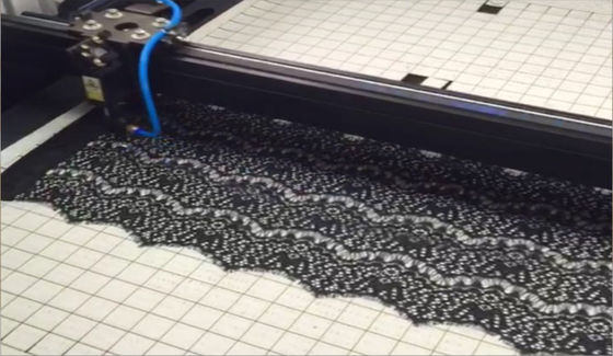 Nylon Knitted Laces Automatic Laser Cutting Machine , Elastic Lingerie  Laser Cutting Equipment